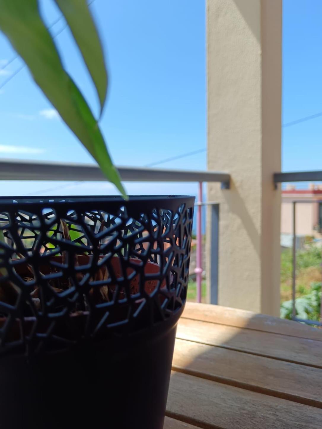 Ribeira do Raposo Casa Central - Peceful Mountain Retreat In Calheta מראה חיצוני תמונה